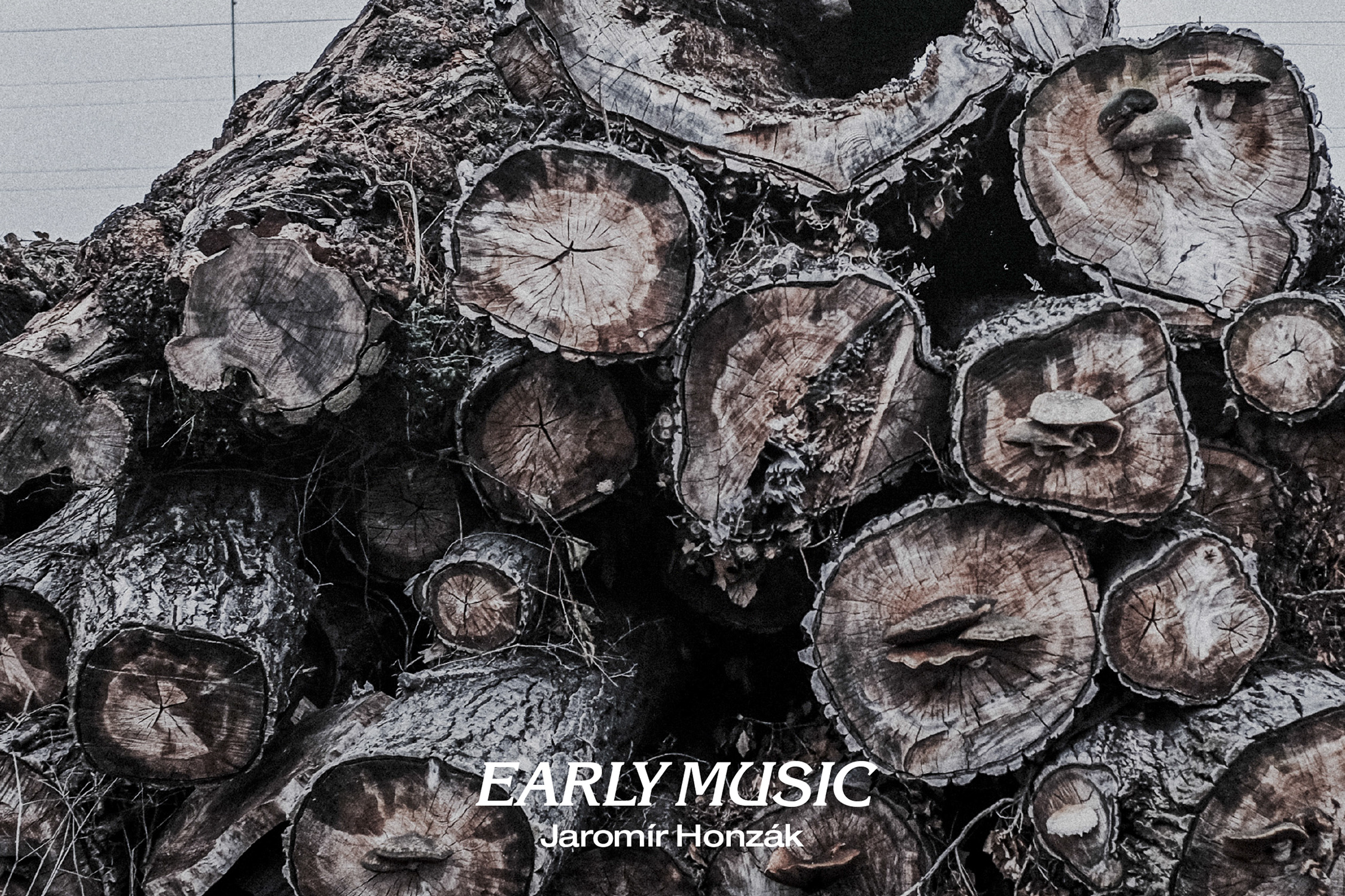 Jaromír Honzák – Early Music (Animal Music, 2017)