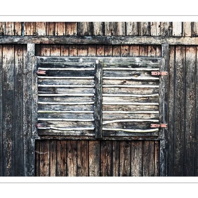 David Dorůžka Trio – David Dorůžka – Autumn Tales | foto: Dušan Tománek,  Animal Music